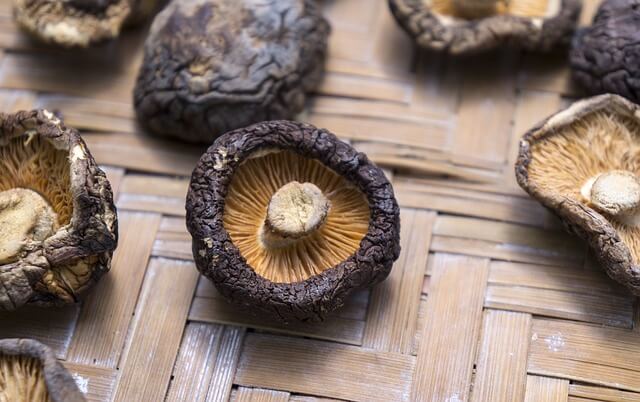 Shiitake: Houževnatec je jedlá houba s léčivými účinky